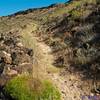 Broken Mesa Loop Trail initially climbs toward the Broken Mesa Rim.