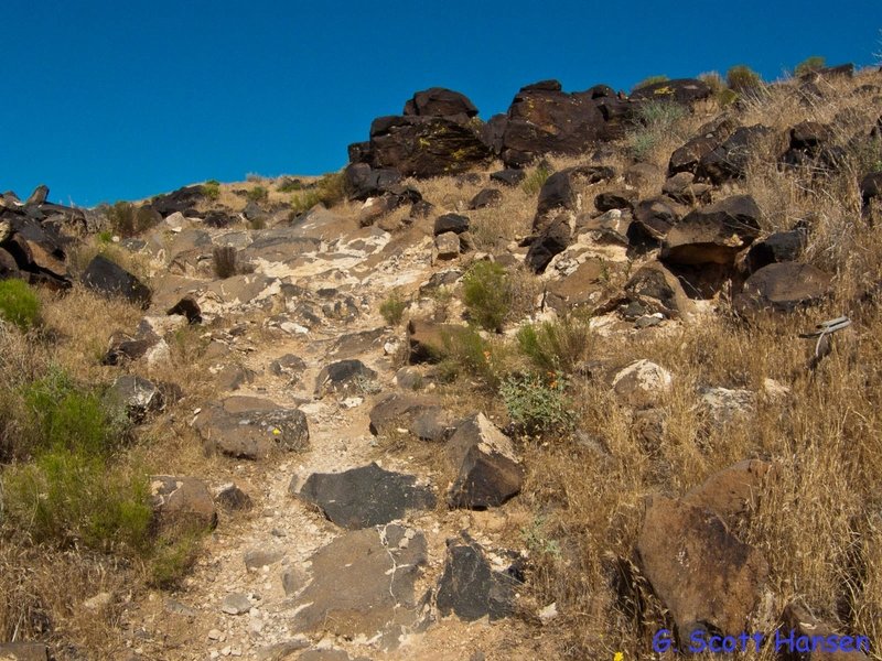 Trail runs through lava boulders near the mesa top