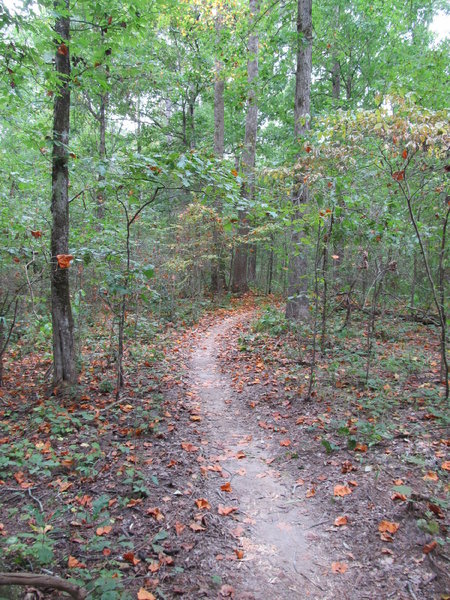 A section of the North Trail.