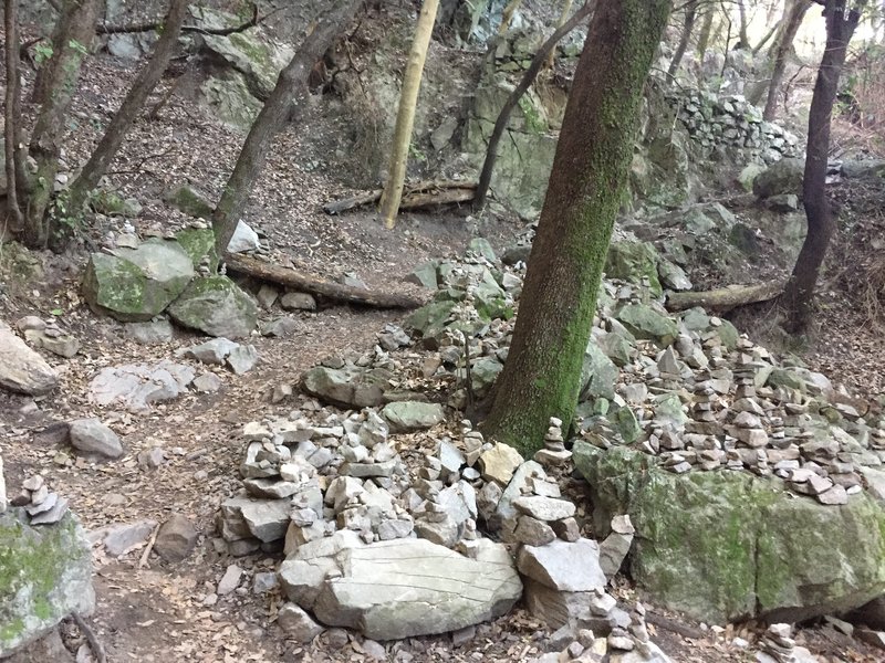 Land of the Cairns as you climb up switchbacks under thick tree canopy