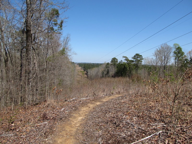 The Power Line Trail, turning back under the power lines before the downhill descent into the woods
