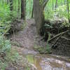 Creek crossing on the Log Jump Trail.