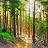 The South Fork trail is one of many seemingly endless trails in Oregon.