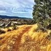 Looking west from Sundog Ranch Trail