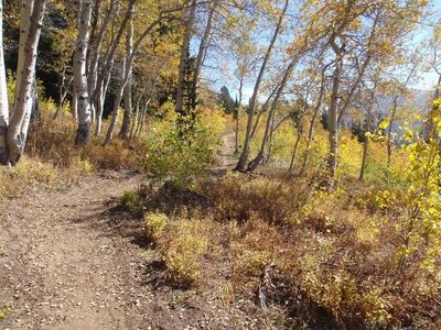 Peaked Trail. Photo by Dana Ramos.