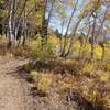 Peaked Trail. Photo by Dana Ramos.