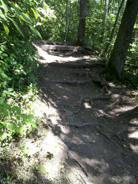 Some steps on the Red Trail.