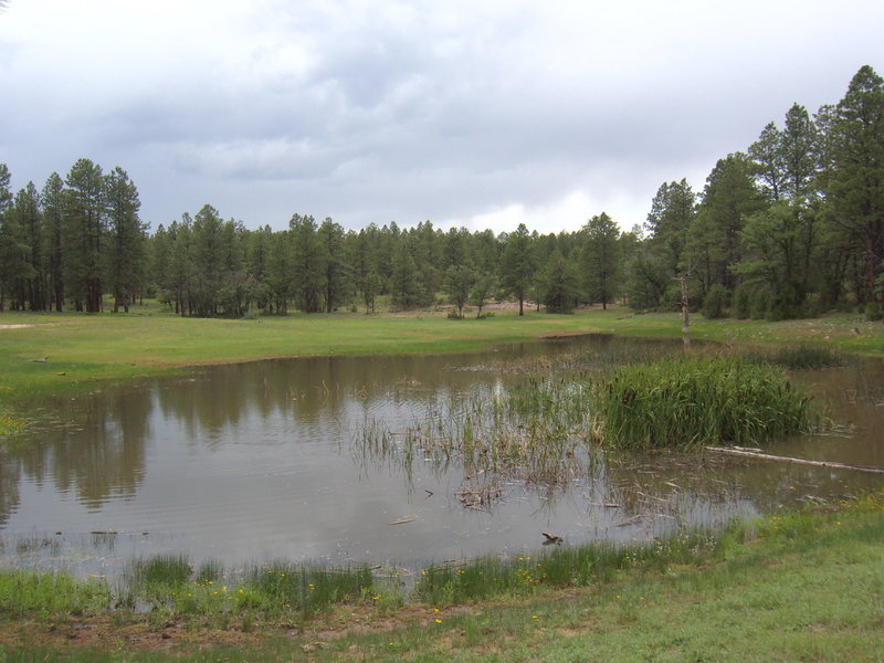 Sheet Rock Tank