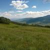 Wildflowers and beautiful views abound on Point Lookout.