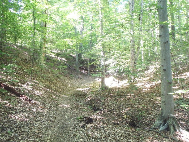 The Lake Hope, Peninsula Trail, in Vinton County Ohio has some considerable uphill climb.