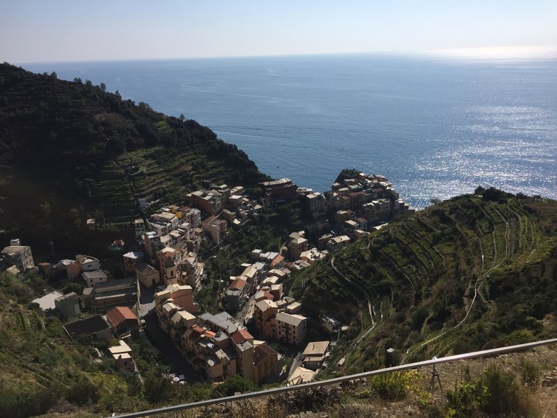 The view of Manarola from the panoramic trail beneath terraced vineyards.