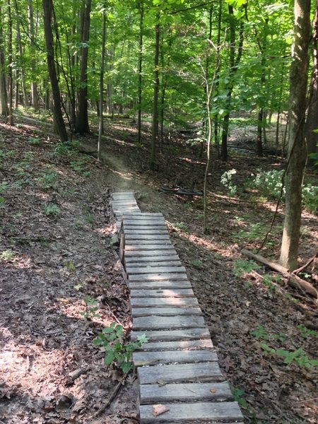 One of the man made obstacles on the 'expert' spur might challenge a cyclist, but they're just plain fun for those on foot.