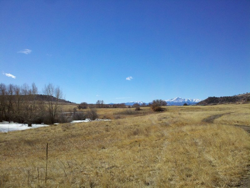 Looking Southwest across Meadow towards Pikes Peak