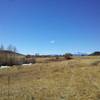 Looking Southwest across Meadow towards Pikes Peak