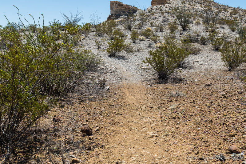 Most of the trail is sandstone but there is the sharp change from sandstone to mudstone.