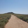 JA Volcano in the distance just beyond the start of the Overlook Trail.