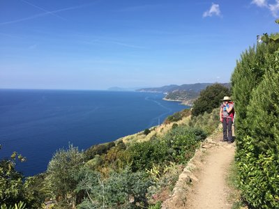 Typical section of trail looking back to Levanto.