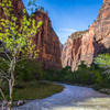 Zion National Park.