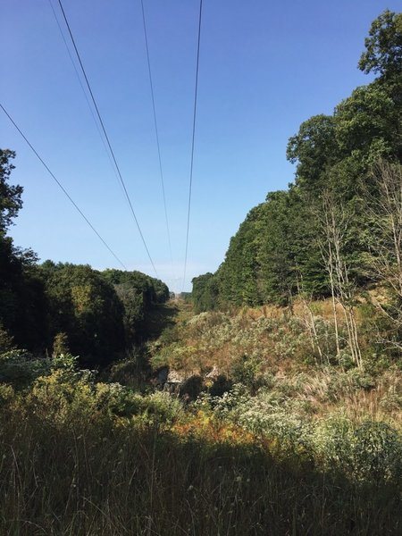 View back into a wooded "canyon" on the Walter Taitt Trail.