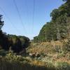 View back into a wooded "canyon" on the Walter Taitt Trail.