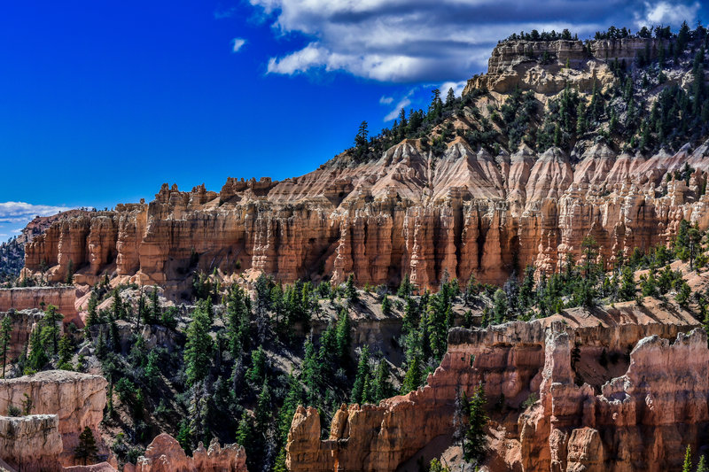 Bryce Canyon beautiful day in the neighborhood