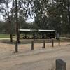 Picnic ground and shelter at No 7