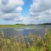 View directly from the trail overlooking the lake which provides a home for a number of local birds.