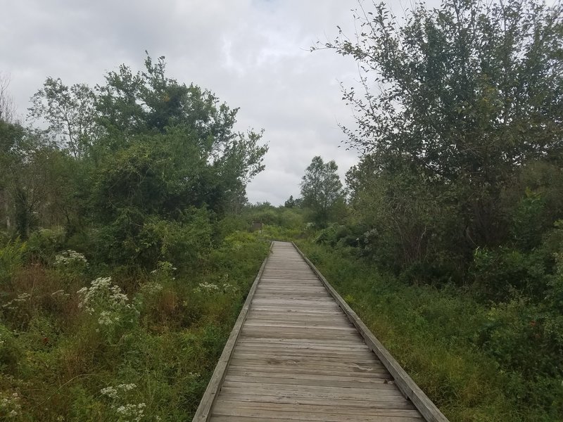 Typical boardwalk throughout the Ridge Trail Boardwalk.