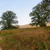 An early autumn crossing of the meadows of Schunnemunk State Park