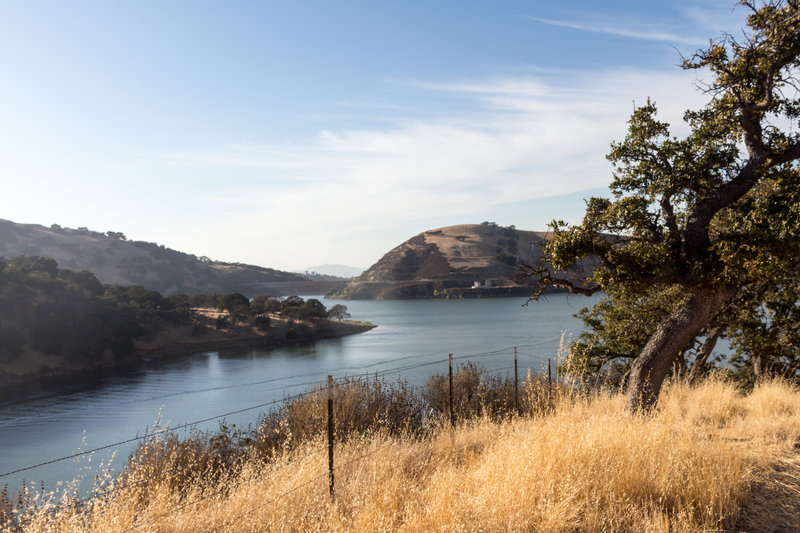 Del Valle Dam from Heron Bay Trail