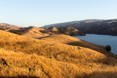 Grassy northern shore of Lake Del Valle during sunset