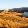 Grassy northern shore of Lake Del Valle during sunset