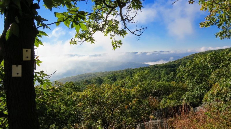 Watching the fog lift off Sweet Clover Trail in Schunnemunk State Park.