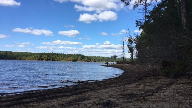 Looking north on Falls Lake Recreation Area.