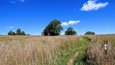 A glorious early fall day in upstate NY.