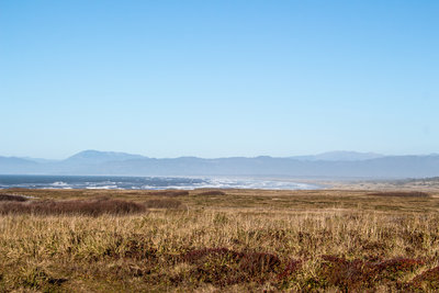 Dunes and grassy meadows of Tolowa Dunes State Park