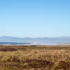 Dunes and grassy meadows of Tolowa Dunes State Park