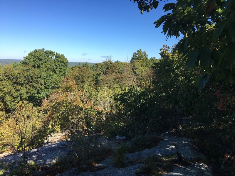 Highest point on the Blue Loop Trail.