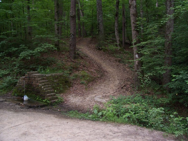 Pipe Springs and the Charlton Trail. This is not the LOViT trail. The trail in the picture takes you to Charlton Rec. Area.