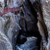 Looking into Box Cañon in spring.