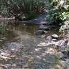 The crossing at Briery Fork Creek.