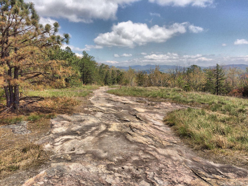 Top of Cedar Rock.