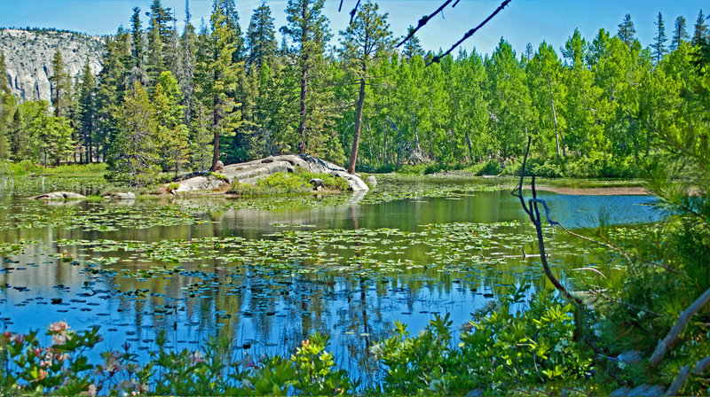 Lake 5968: A pleasant resting spot as you descend into Kendrick Canyon.