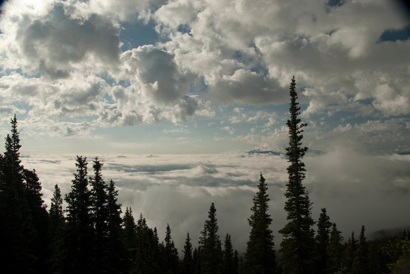 Emerging from treeline to a horizon of clouds.