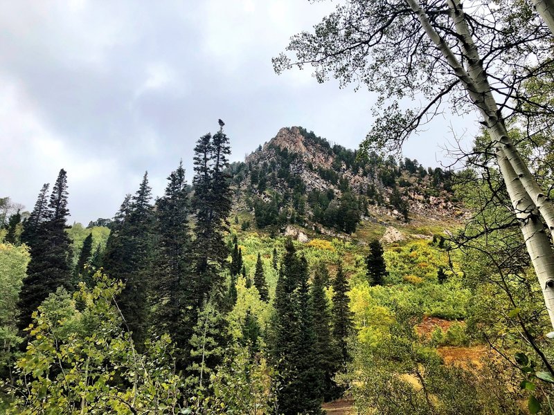 View to the west at the southern end of White Canyon Trail.