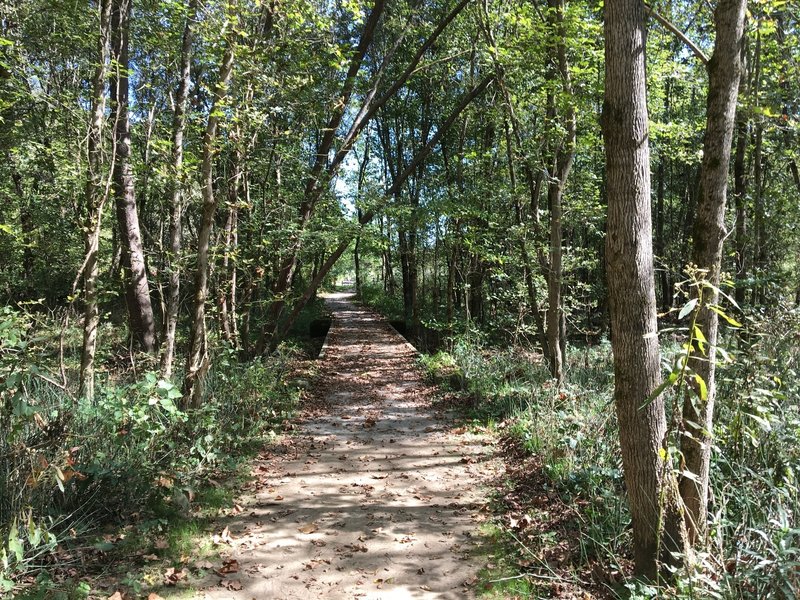 Bridge over wetlands.