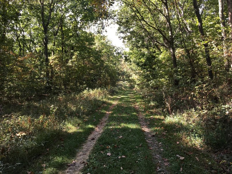 Doubletrack/gravel pipeline service road.