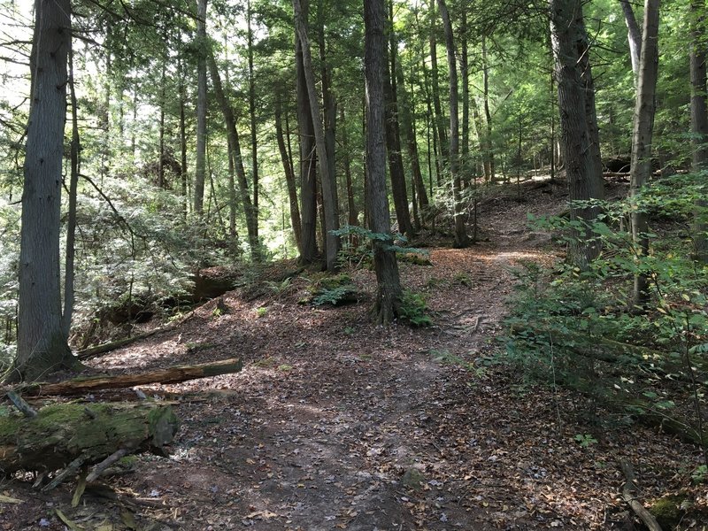 Steep section of trail