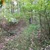 Grassy section of trail