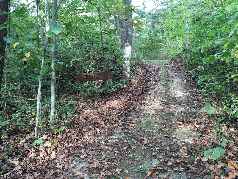 Entrance to viewing area